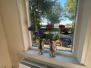 Ferienhaus Grolloo Außenaufnahme 2