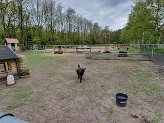 Vakantiehuis Grolloo  22