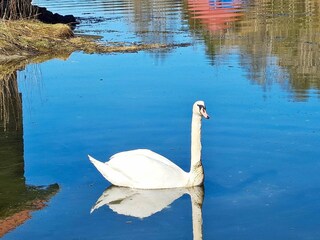 Holiday house Seim  10