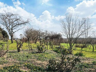 Maison de vacances Sæby  13