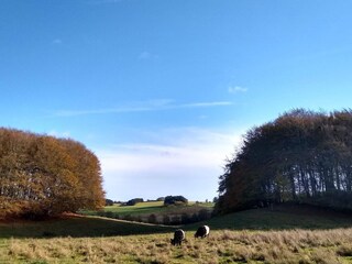Vakantiehuis Sæby  35