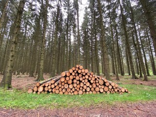 Ferienhaus Sæby  36