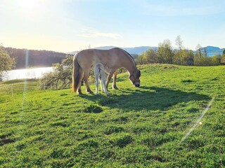 Vakantiehuis Seim  21