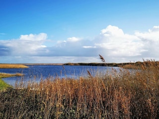 Maison de vacances Thorsminde  33