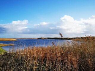 Vakantiehuis Thorsminde  16