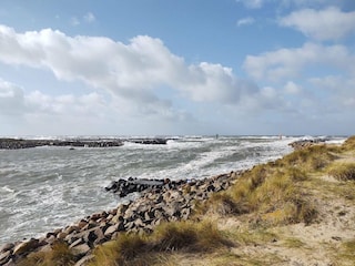 Ferienhaus Thorsminde  6