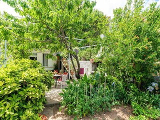 Apartamento Zaton bei Dubrovnik Grabación al aire libre 8