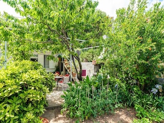 Apartment Zaton bei Dubrovnik Außenaufnahme 11
