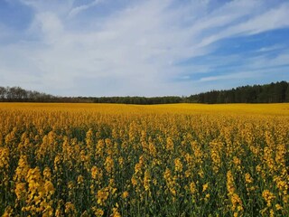 Casa de vacaciones Bønnerup Strand  38