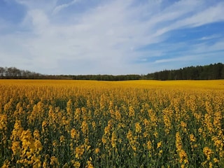 Ferienhaus Bønnerup Strand  2