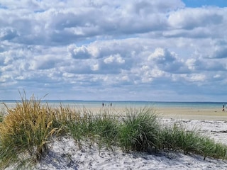 Ferienhaus Bønnerup Strand  45