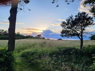 Ferienhaus Bønnerup Strand  8