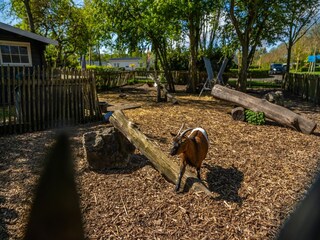 Holiday park Driehuis  24