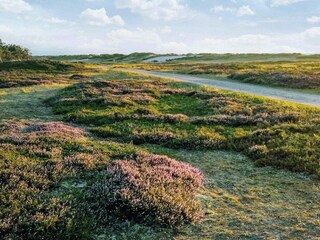 Maison de vacances Nykøbing Sjælland Enregistrement extérieur 3