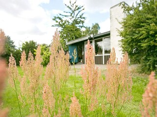 Ferienhaus Frørup Außenaufnahme 9