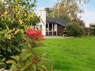 Casa per le vacanze Frørup  27