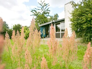 Ferienhaus Frørup Außenaufnahme 7