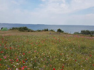 Casa per le vacanze Frørup  52