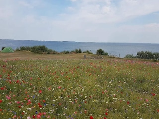 Maison de vacances Frørup  52