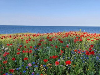 Casa per le vacanze Frørup  47