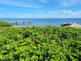 Casa per le vacanze Frørup  35