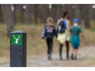 Casa per le vacanze Nieuw-Haamstede Ambiente 31
