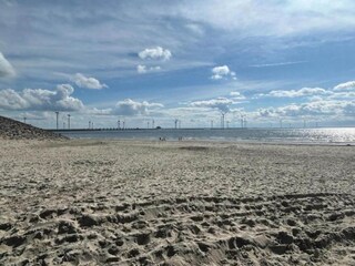 Vakantiehuis Nieuw-Haamstede Omgeving 30