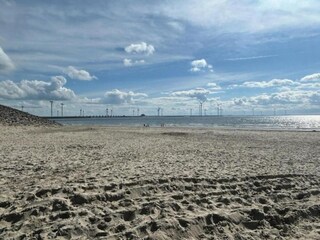 Maison de vacances Nieuw-Haamstede Environnement 35