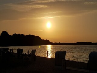 Appartement Zierow Environnement 18