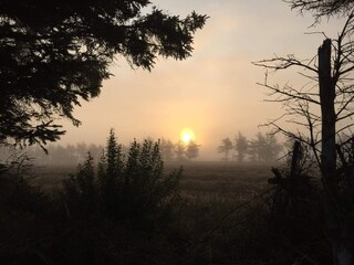 Casa de vacaciones Fjand  11