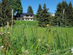 Maison de vacances avec sauna infrarouge - District de Waldeck-Frankenberg (Sauerland) - image1