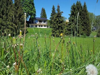 Holiday house Willingen Outdoor Recording 4