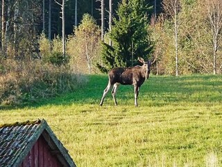 Vakantiehuis Hedekas  22