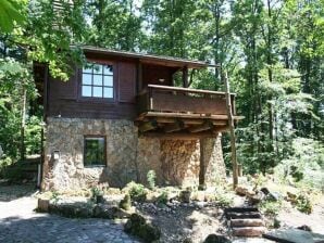 Maison de vacances Cabane en bois spécial à l'orée de la forêt - District de Waldeck-Frankenberg (Sauerland) - image1