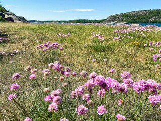 Vakantiehuis Lysekil  19