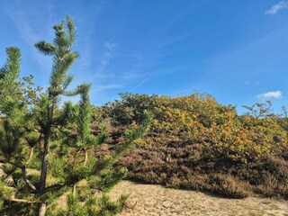 Holiday house Henne Strand  17