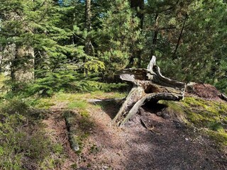 Ferienhaus Henne Strand  17