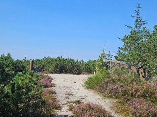 Ferienhaus Henne Strand  29