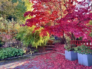 Appartamento per vacanze Söll Registrazione all'aperto 6