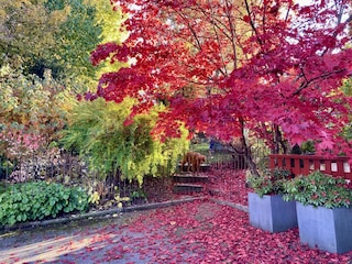 Unser Garten im Herbst