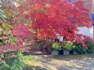 Terrasse im Oktober