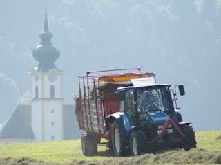 Unser Nachbar bei der Heuernte