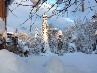 Im Winter