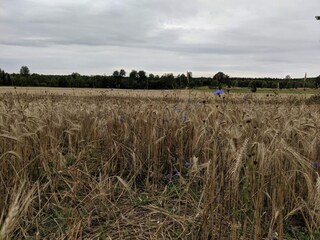 Vakantiehuis Mörlunda  10