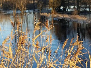 Vakantiehuis Mörlunda  21