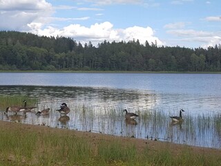 Ferienhaus Mörlunda  24
