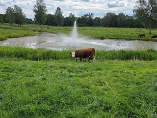Ferienhaus Mörlunda  16