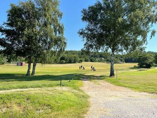 Holiday house Varekil  11