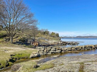 Vakantiehuis Varekil  23