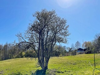 Ferienhaus Varekil  14